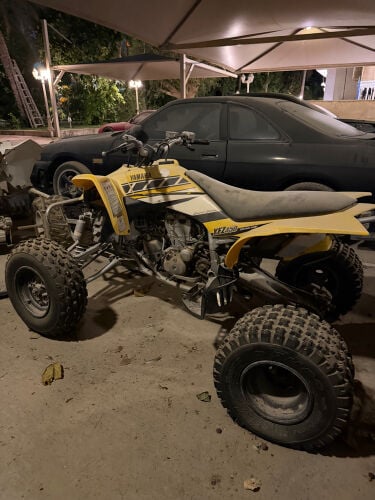 buggy 