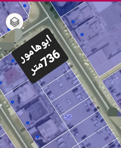 أباهامور