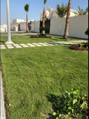 مزارع