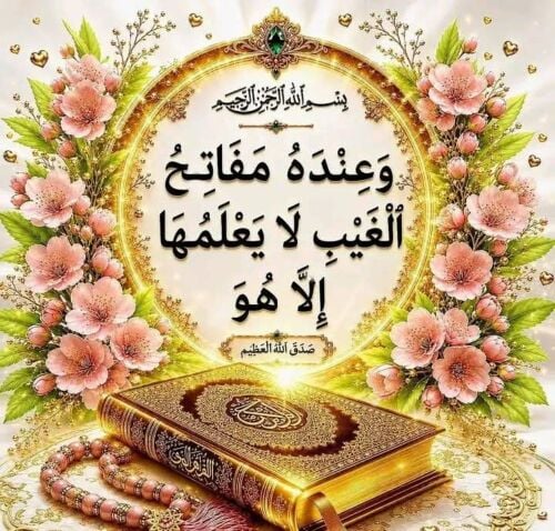 معلم رياضيات ولغة انجليزية