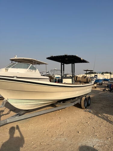 الضاعن 24
