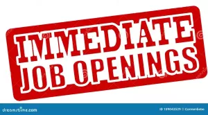 Full-time driver wanted.