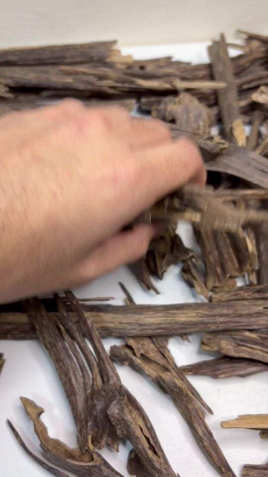 عود سوبر طبيعي للبي