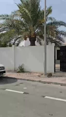 بيت شعبى للايجار بالريان