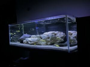 Full set Aquarium with Stand