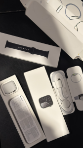 Apple Watch Series 9 Stainless Stee