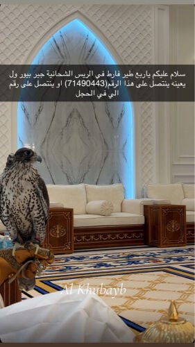 جير بيور
