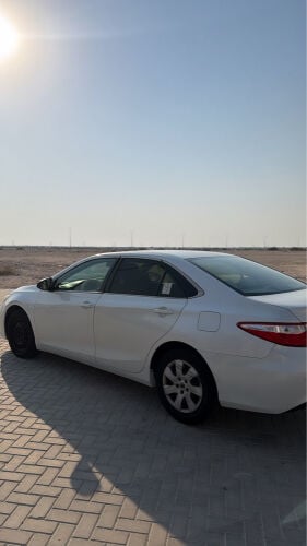 علي المري