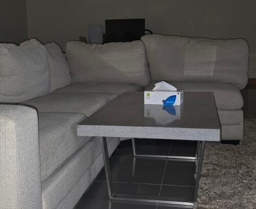 beige sofa set Lshape