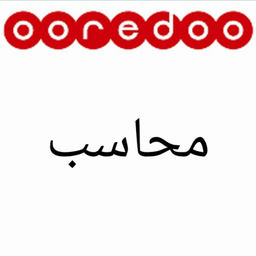 محاسب ومدير حسابات ومدقق داخلي
