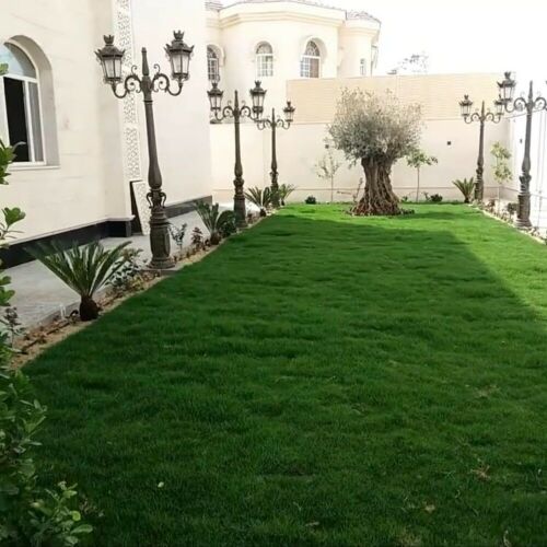 زراعه وشبكات الرى