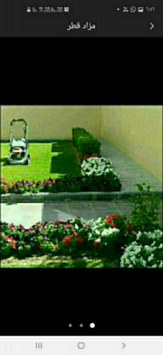 قص العشب عقود شهريه للحدائق