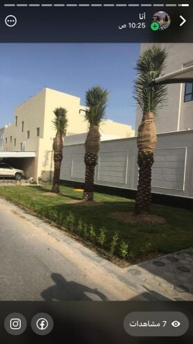 ابو ايه