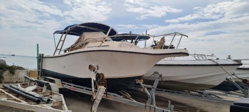 29 ft boat for sale
