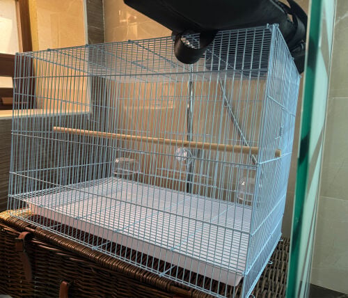 New birds cage (Not used)