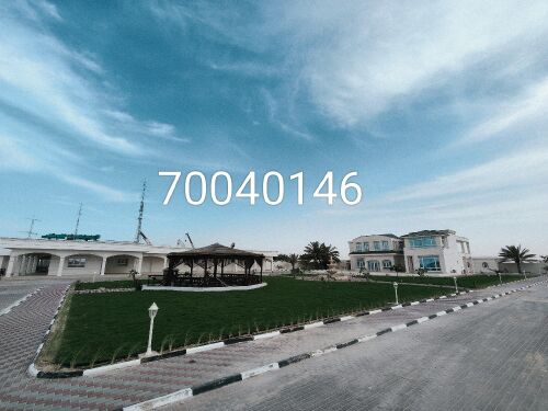 زراعة العشب