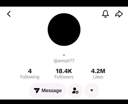 TikTok account for sale