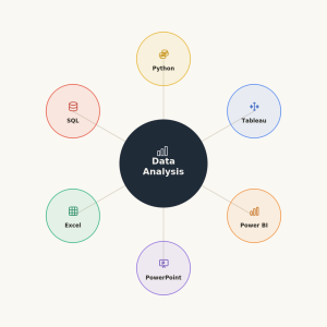 Data Analyst