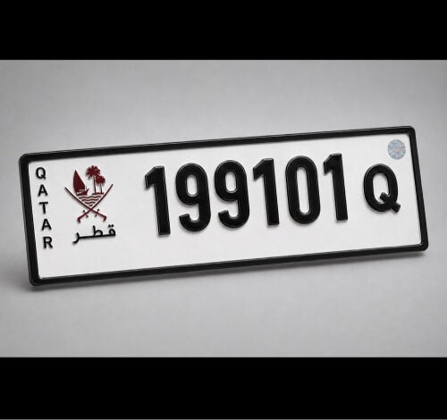 1991 special plate