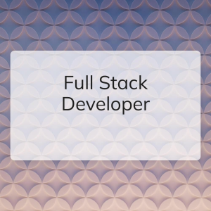 Full Stack Developer