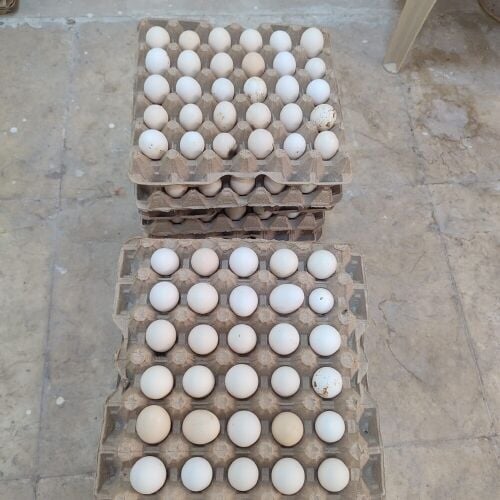 Fresh, locally sourced eggs, daily