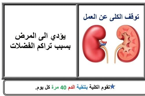 معلمة العلوم للصف السادس