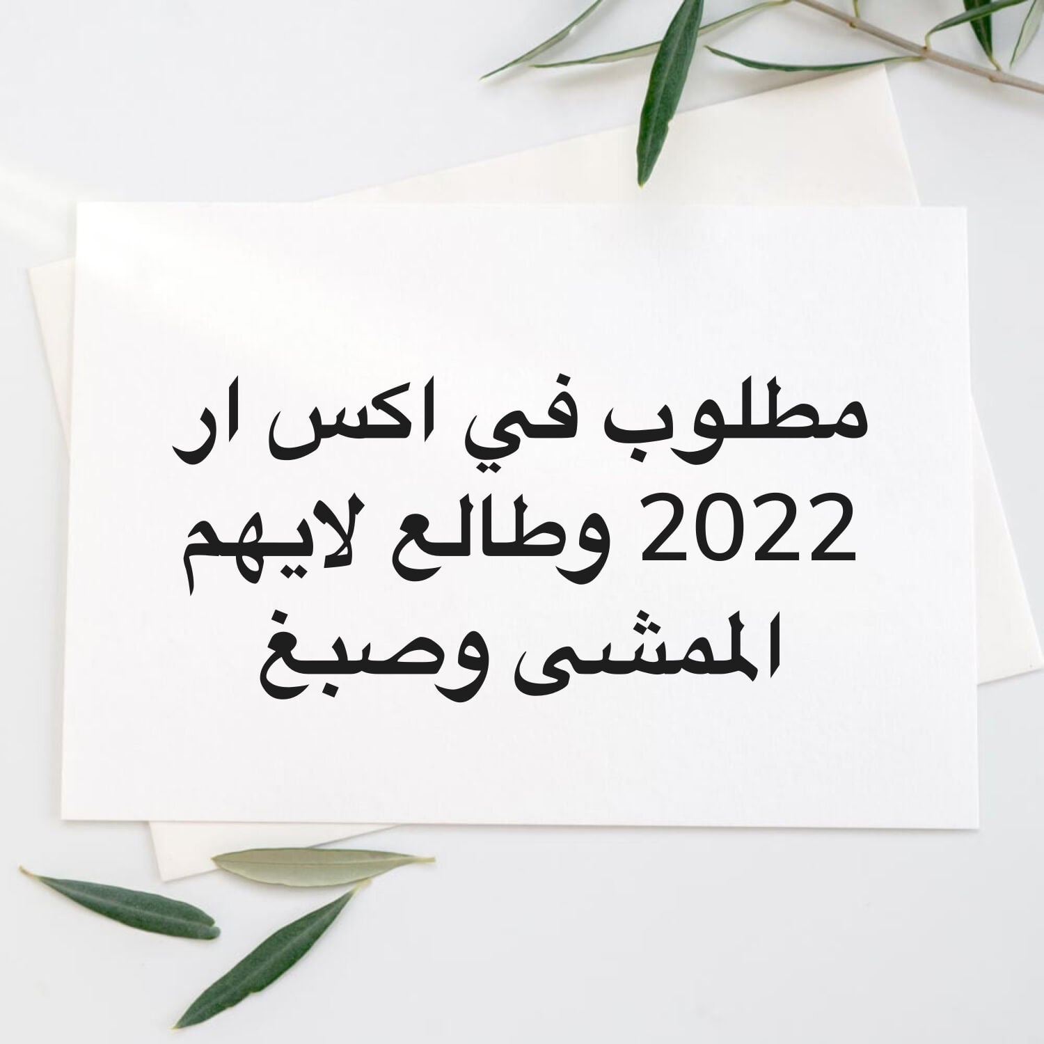 مطلوب في اكس ار 2022 وطالع 