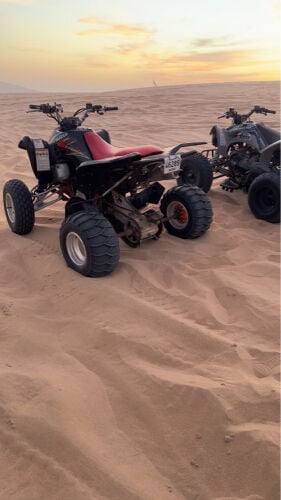 شارمكس250