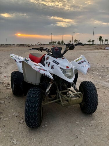 aeon cobra 100cc modified 