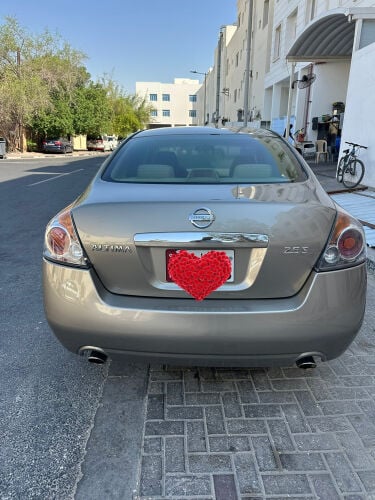 شاهين 