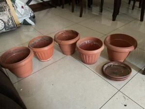 Plant pot for sale