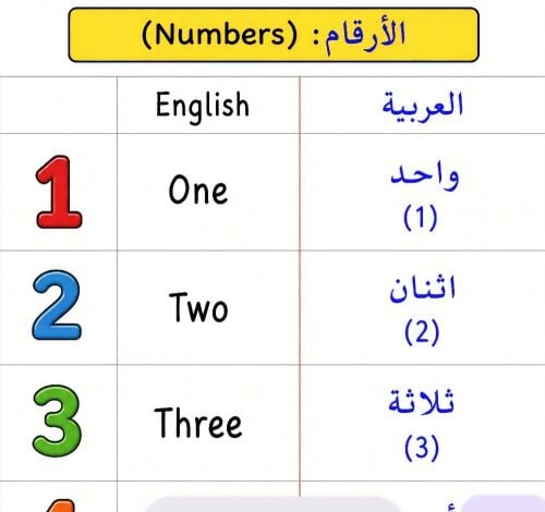 مدرسة الرياضيات والعلوم