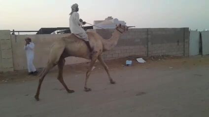 بيع