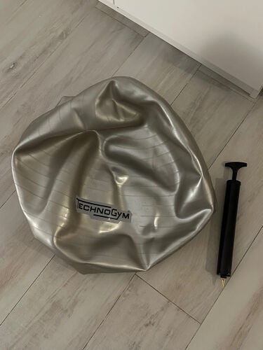 Technogym Swiss ball
