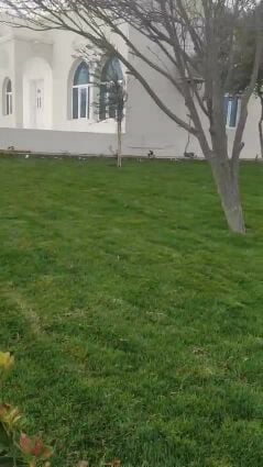 عنايه بالحديقه شهري ت٥٥٧٤٤٣٦٣