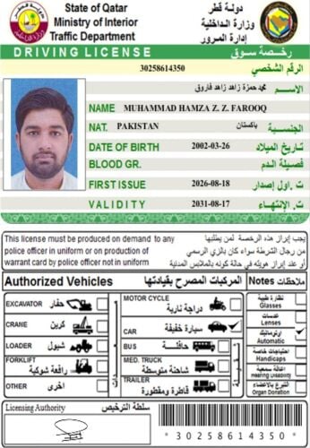 Looking for Driver Job