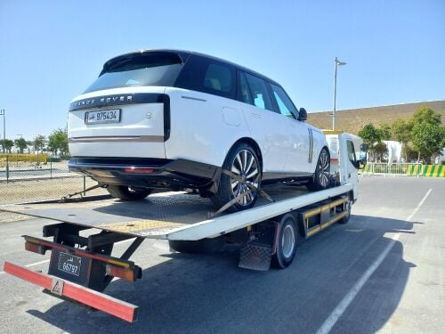سطحه بركدون
