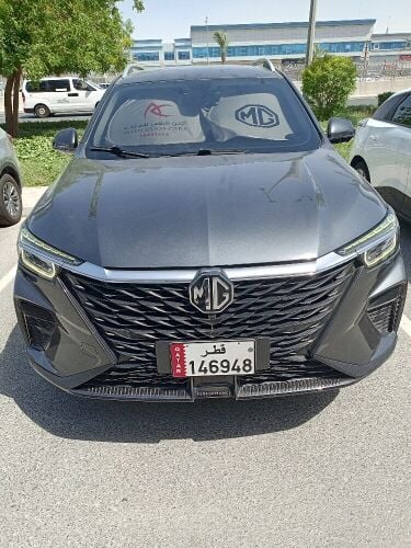 mg