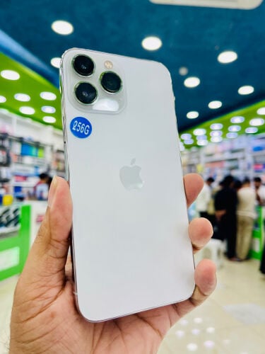 13 pro max