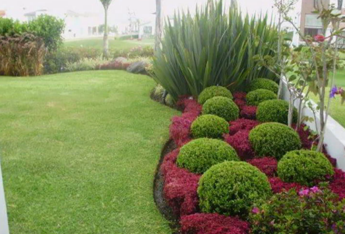 الزراعه والري  وتعاقد شهري