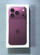 18 Pro 256 Burgundy