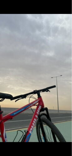 ‏bicycle for sale