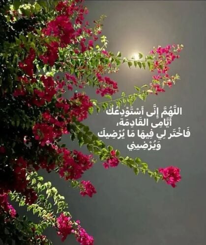 معلمة