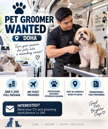PET GROOMER WANTED 
