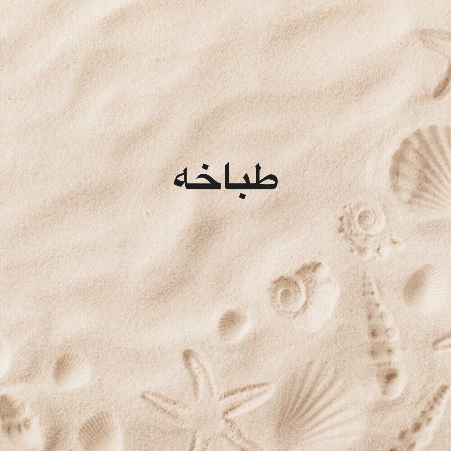 مطلوب طباخه 