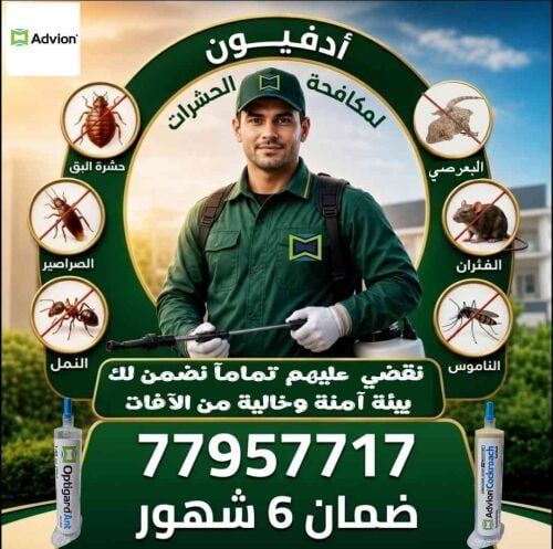 نخلصك من الحشرات نهائيًا