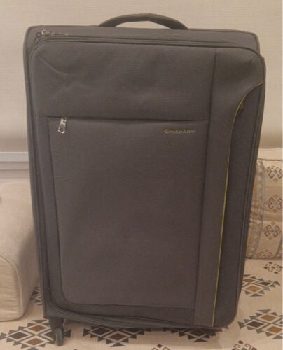 Large travel bags in excellent cond
