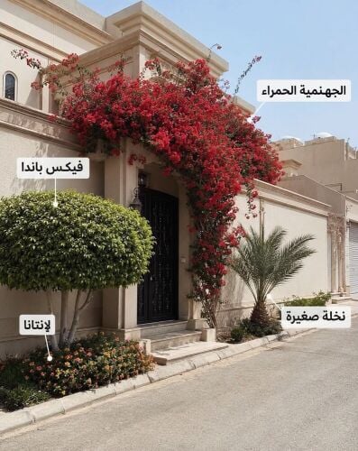 يمكننا عقود شهريه لصيانه الحدائق