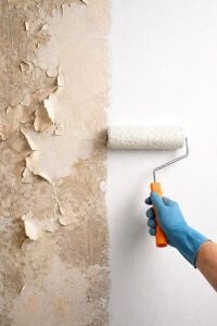 Professional Painting Services
