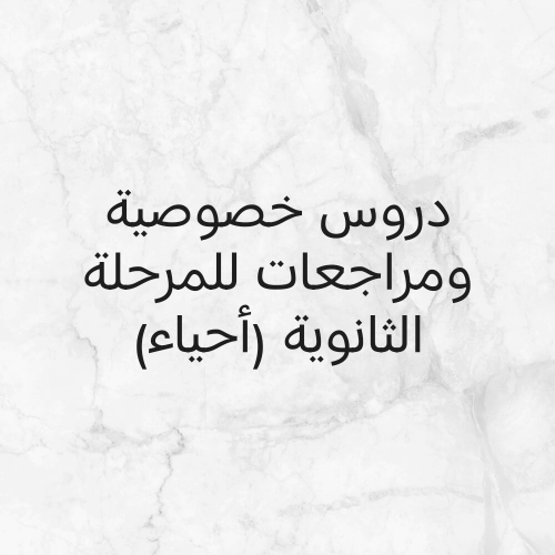 الأستاذ.جهاد الزين خويلدي